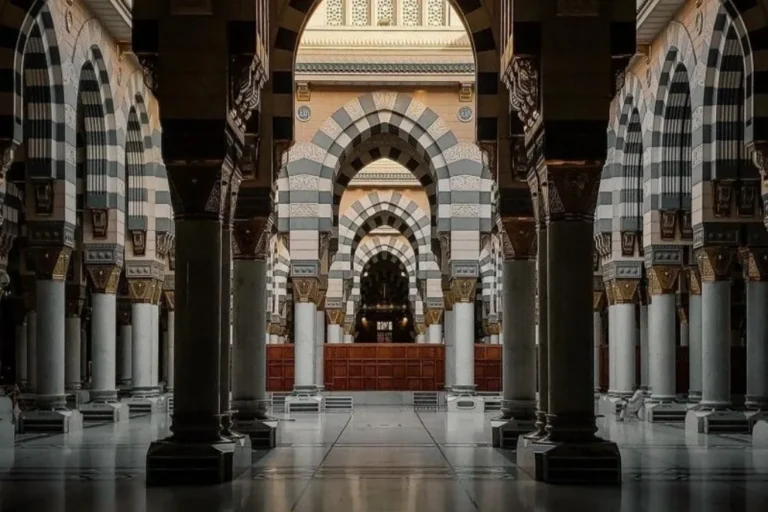 351cafc5-21ec-4871-a50d-a80cc4dbaa58_11zon