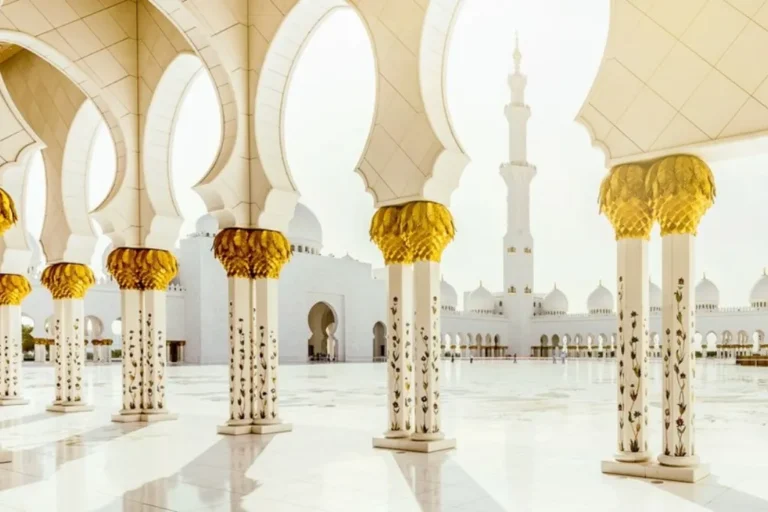 e80455b8-f4e4-4090-af25-7f9264689cc8_11zon