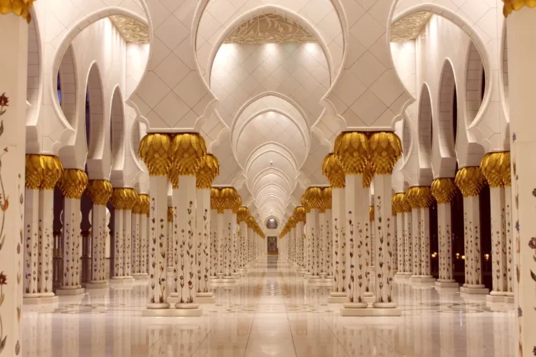 e986ecfe-0e36-4451-9e03-9d6e400ea3ba_11zon